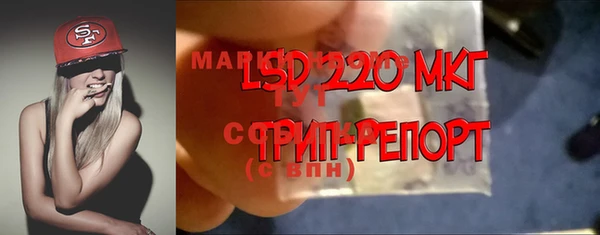 ГАЛЛЮЦИНОГЕННЫЕ ГРИБЫ Беломорск
