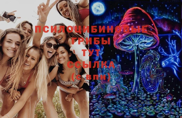 прущая мука Белокуриха