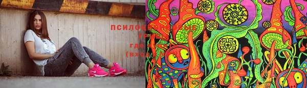 ГАЛЛЮЦИНОГЕННЫЕ ГРИБЫ Беломорск