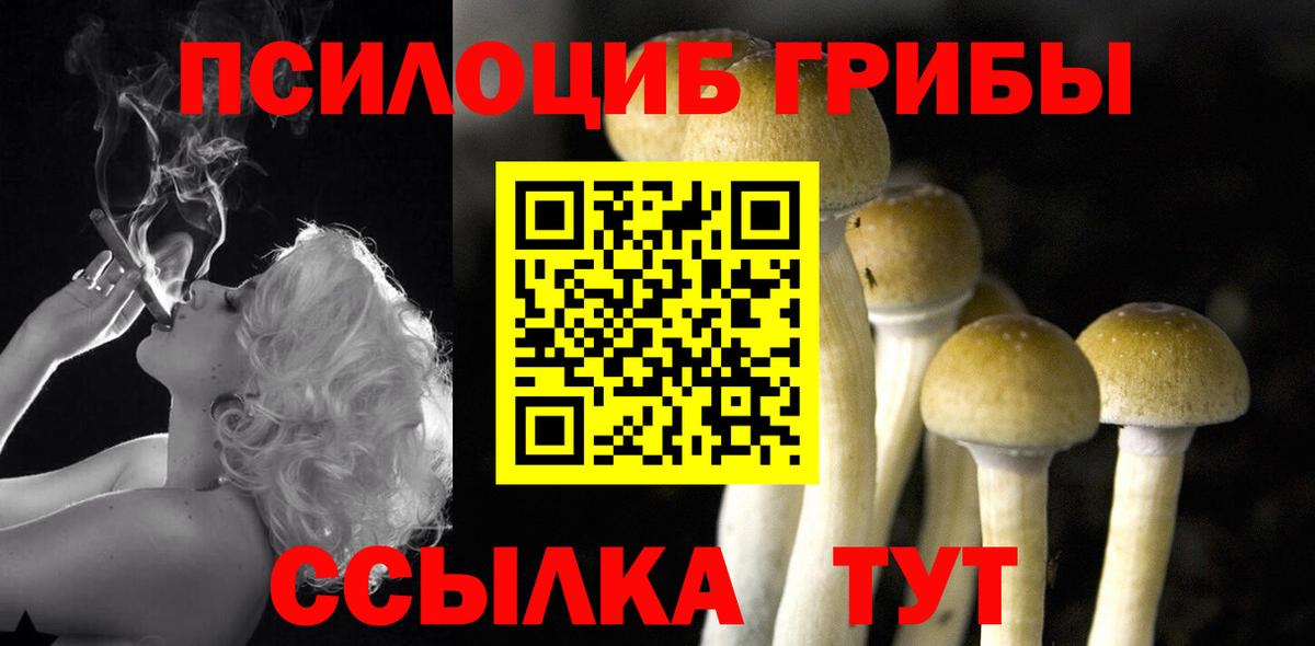 Галлюциногенные грибы ЛСД Сланцы