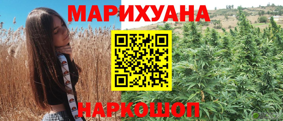 Бошки Шишки планчик Сланцы
